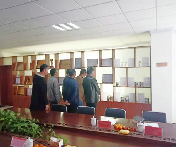 河南现代来访10