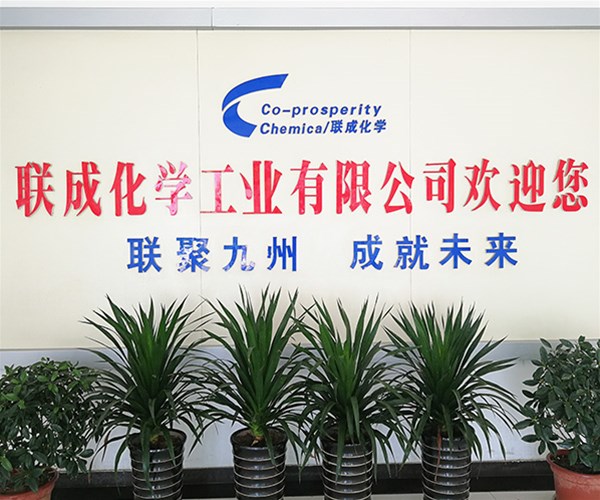 公司实景