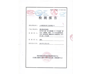 检测报告