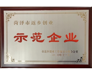 菏泽市反乡创业示范企业