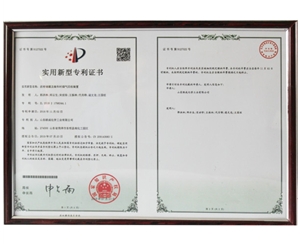 专利2