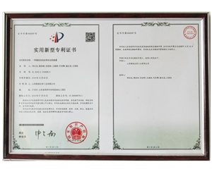 专利4