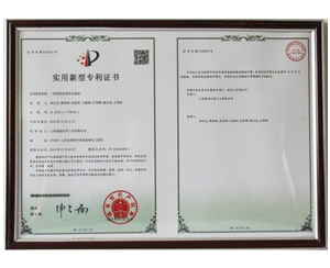 专利6
